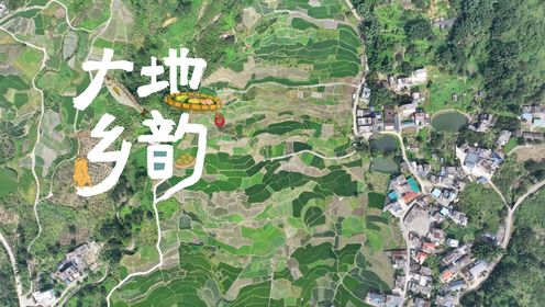 老广的味道第10季第6集：大地乡韵_高清完整版视频在线观看_腾讯视频