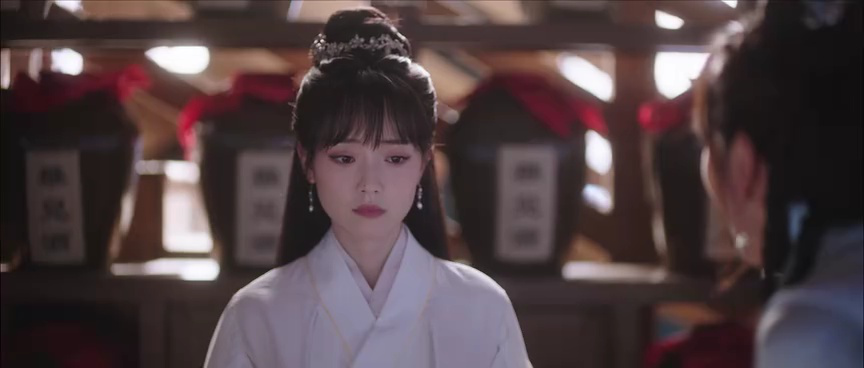 了不起的女侠 15集