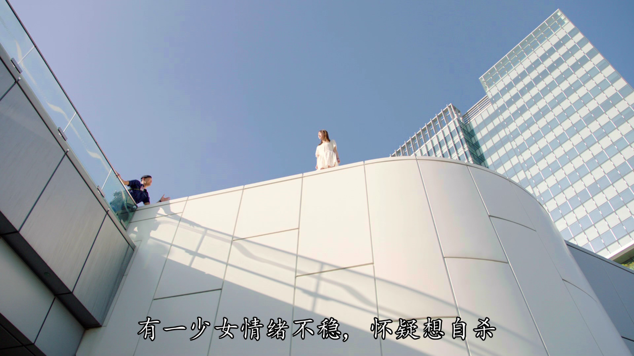 机场特警[普通话版] 10集