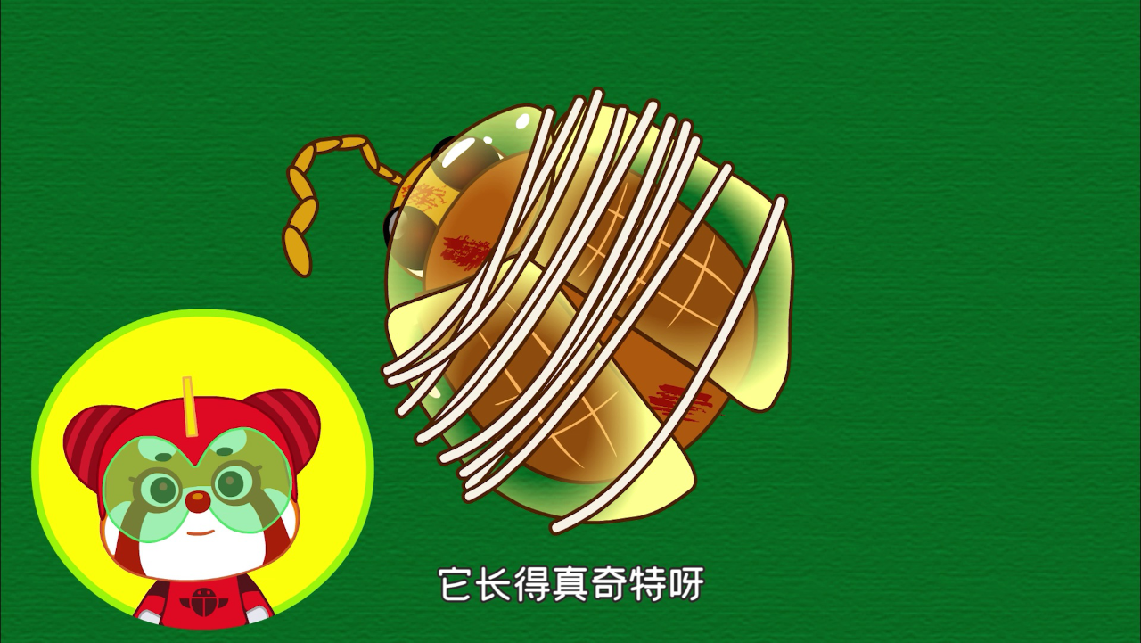 动物世界之昆虫救援队第二季 10集