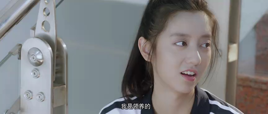 花海 17集