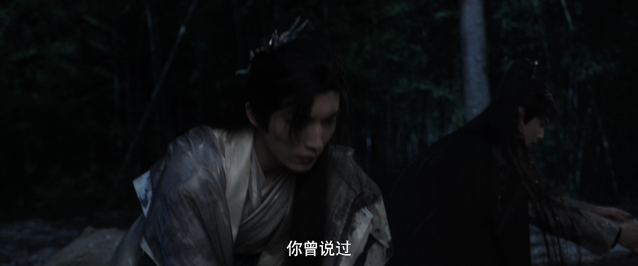 将军家的小儿子 14集