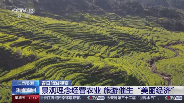 春日旅游观察 江西婺源 景观理念经营农业 旅游催生“美丽经济”