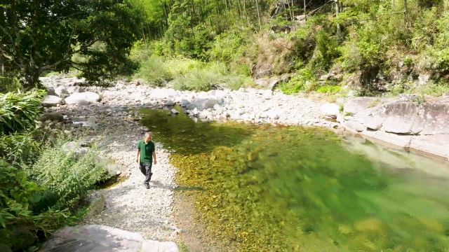 茶知道答案 短预告片:武夷山茶文化的守护与创新