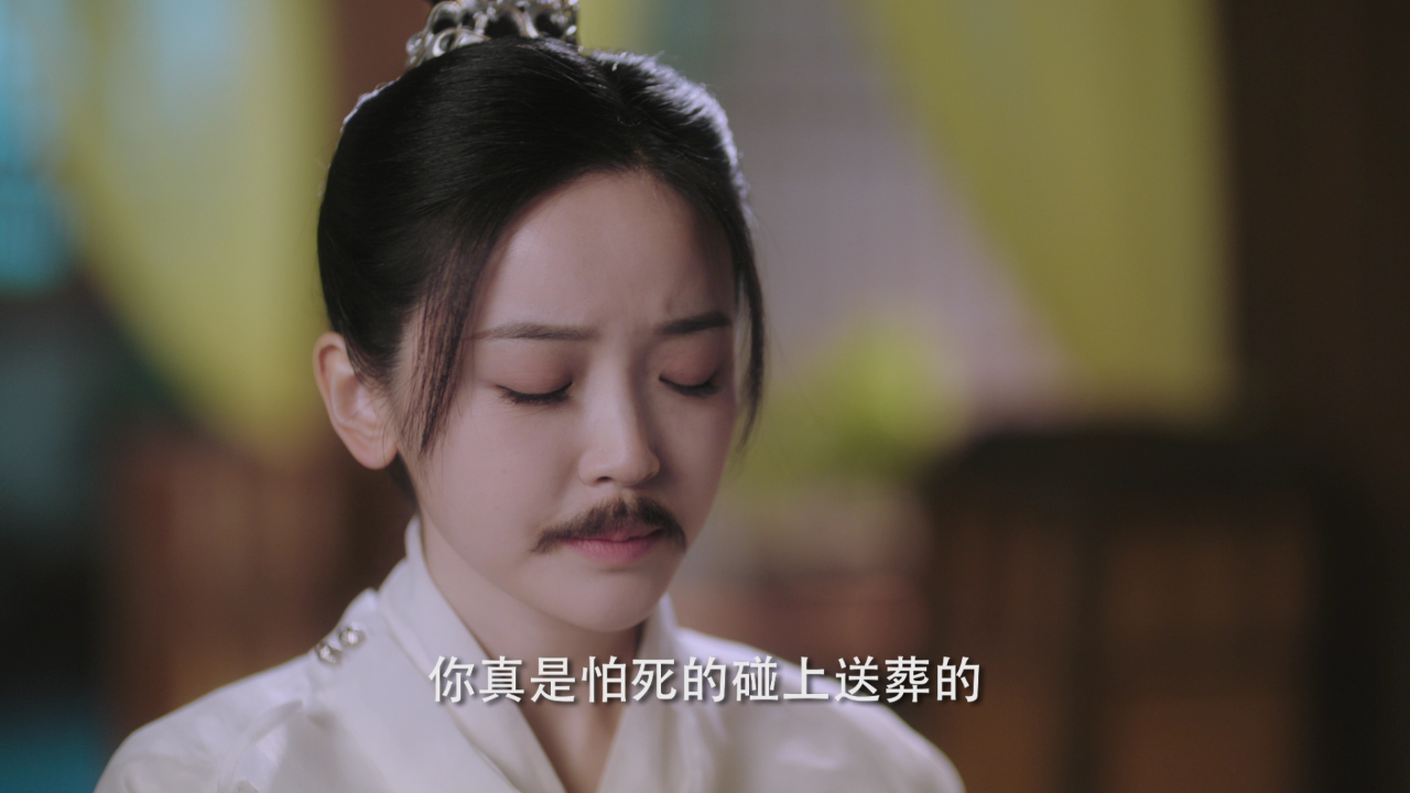 陆昭昭的刺客笔记 2集