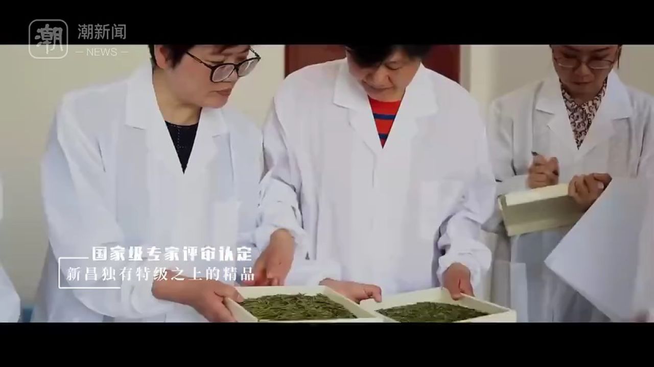 新昌俞镕翔图片