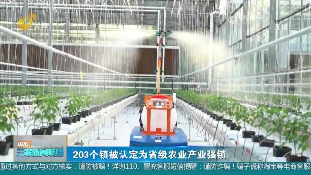 关注!济南市长清区双泉镇等203个镇被认定为省级农业产业强镇