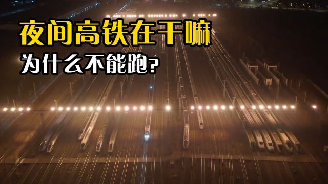 中国客流量那么大,为什么高铁夜间却禁止运行?原因非常简单