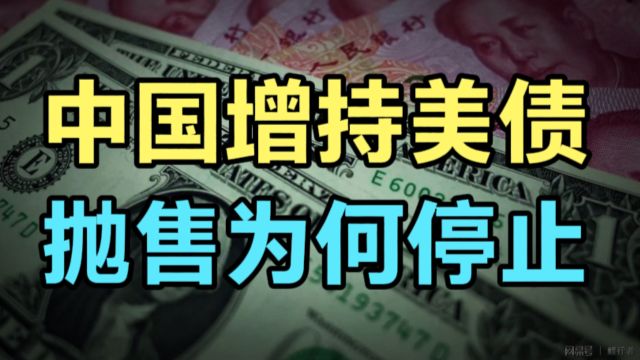 中国停止抛售美债步伐!增持124亿美元国债,去美元化大背景下我国为何逆向操作?有深意