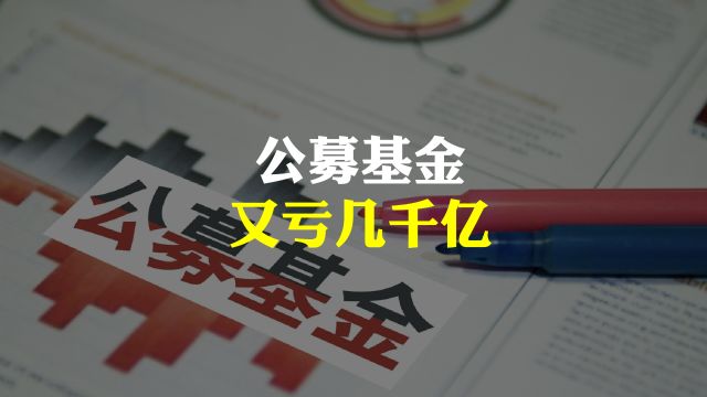 公募基金去年又亏了几千亿,但有两类稳定盈利?如何解读?