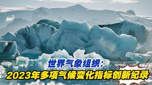 世界气象组织:2023年多项气候变化指标创新纪录