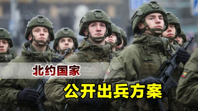 继立陶宛后,爱沙尼亚也公开了出兵方案