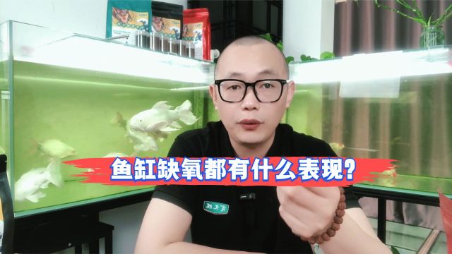 鱼缸缺氧都有什么表现?