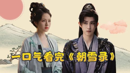 一口气看完《朝雪录》原著：沈莞以秦莞之名查案，燕迟携翻案之心同行，两人能否撕碎晋王案的伪装？_高清