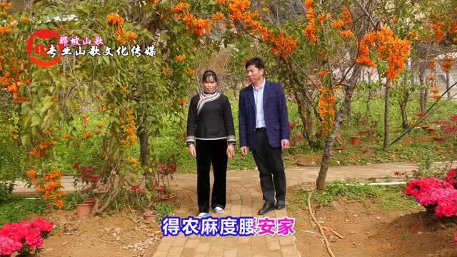 桃花谷情歌 演唱:陆文忠 农秀珍 003