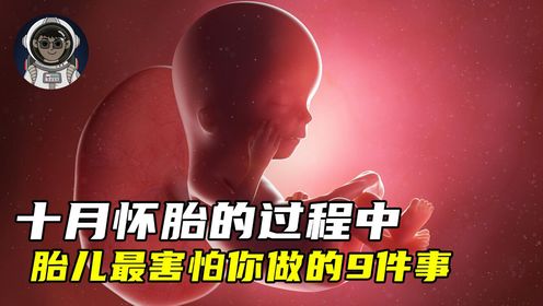 十月怀胎的过程中,胎儿最害怕的9件事是什么?_高清1080P在线观看平台_腾讯视频