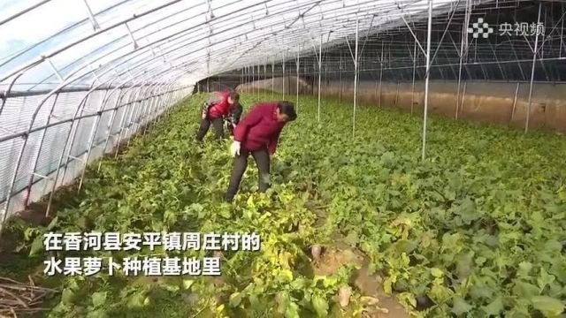 你早,河北|能抄哈尔滨哪些“作业”;谁是伊朗连环爆炸的幕后黑手;多地机构改革是何方向;三问2024年航空市场