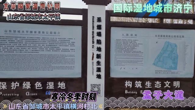 山东邹城太平国家湿地公园、保护绿色湿地、构筑生态文明、泗河观光路交叉处孟子大道横河村北、国际湿地城市济宁欢迎您!!!