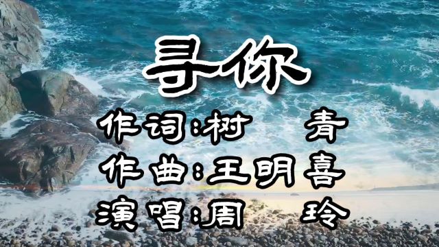 寻你(词:树青,曲:王明喜,演唱:周玲)公交制作