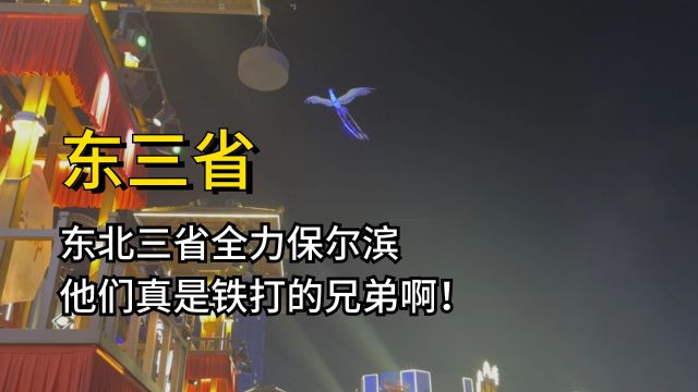 好团结的东三省,大连距离黑龙江哈尔滨有945公里,他们都叫东北#创作发发发