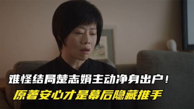 如果奔跑是我的人生:难怪结局楚志娟主动净身出户,原著安心才是隐藏推手