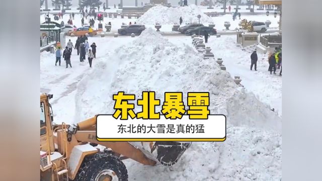 东北的暴雪到底有多猛#暴雪 #东北暴雪 #