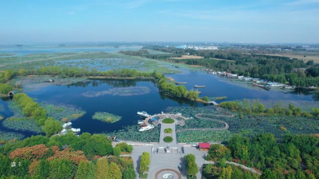 山东微山县二级坝湿地公园美丽景色.