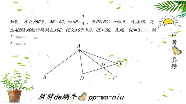 2023广东深圳中考之06