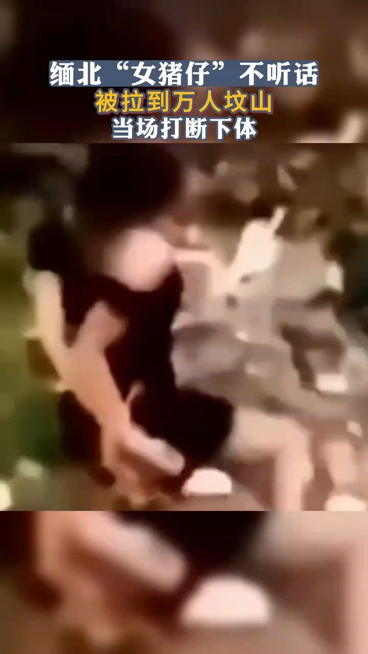 缅北“女猪仔”不听话，被拉到万人坟山，当场打断下体！_高清
