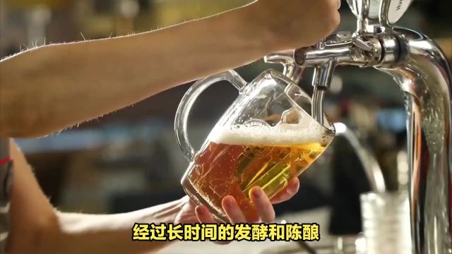 中视酒业:啤酒的魅力