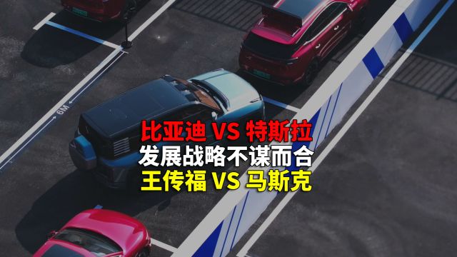 知名车企成长之路或有相似 比亚迪和特斯拉 您更看好哪家未来