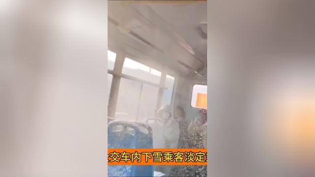 东北公交车内下雪乘客淡定乘坐,这就是既来之则安之吧?