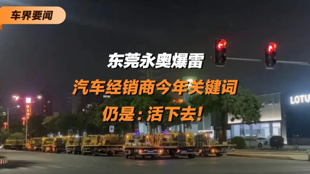 东莞永奥爆雷 汽车经销商今年关键词仍是“活下去!”