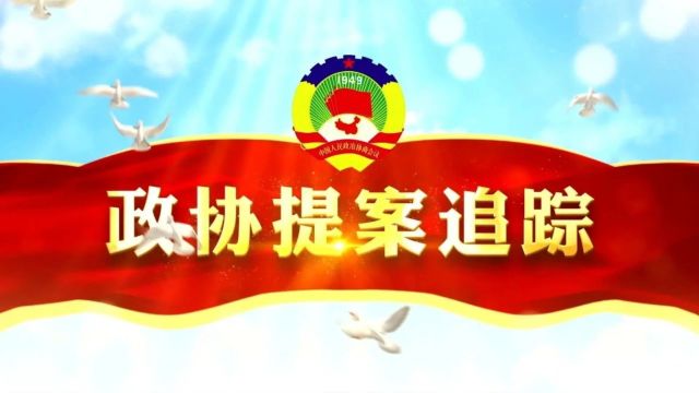 政协提案追踪丨关于畅通非机动车道 加大对城区非机动车道和非机动车管理力度的建议