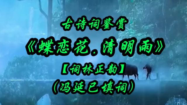 古诗词鉴赏:《蝶恋花.清明雨》【词林正韵】(冯延巳填词)