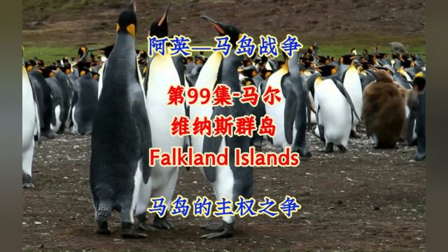 第99集马岛:阿根廷与英国争议岛屿,动物天堂,探险胜地!#航拍#看世界 #地理知识#美景#治愈系风景 #旅游 