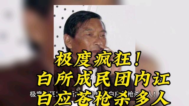 极度疯狂!白所成民团内讧,白应苍枪杀多人