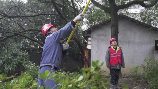 国网益阳供电公司:全力应对冰冻雨雪天气