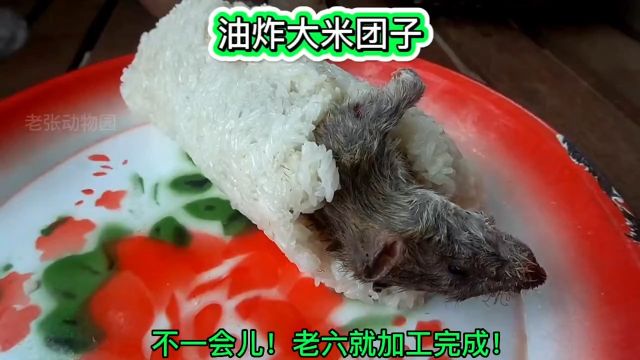 油炸大米团子