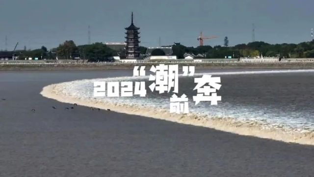 重要提醒!海宁市区这条路将施工封道!