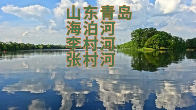 山东青岛 海泊河 李村河 张村河