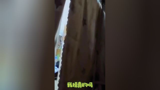 现在的女大学生都是这么沙雕吗,不怕沙雕多,就怕沙雕住一窝