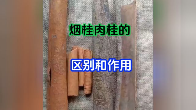 卤菜桂皮怎么选