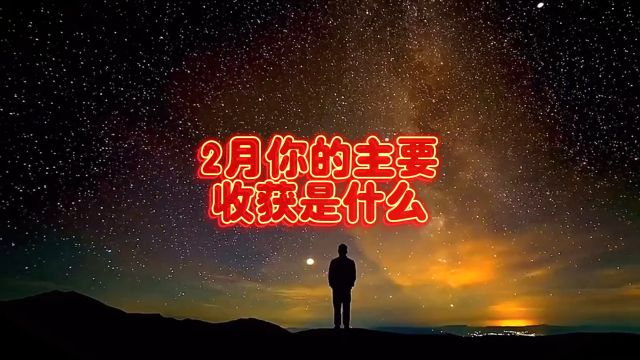 2月你的主要收获是什么?