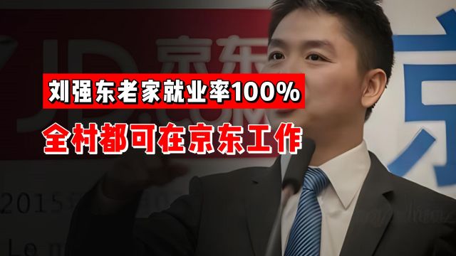 刘强东老家就业率100%!全村都可在京东工作