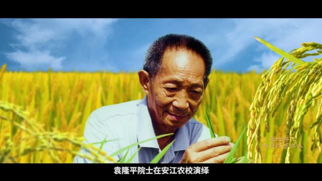 《福地怀化 怀景怀乡怀味》宣传片上线全国铁路系统