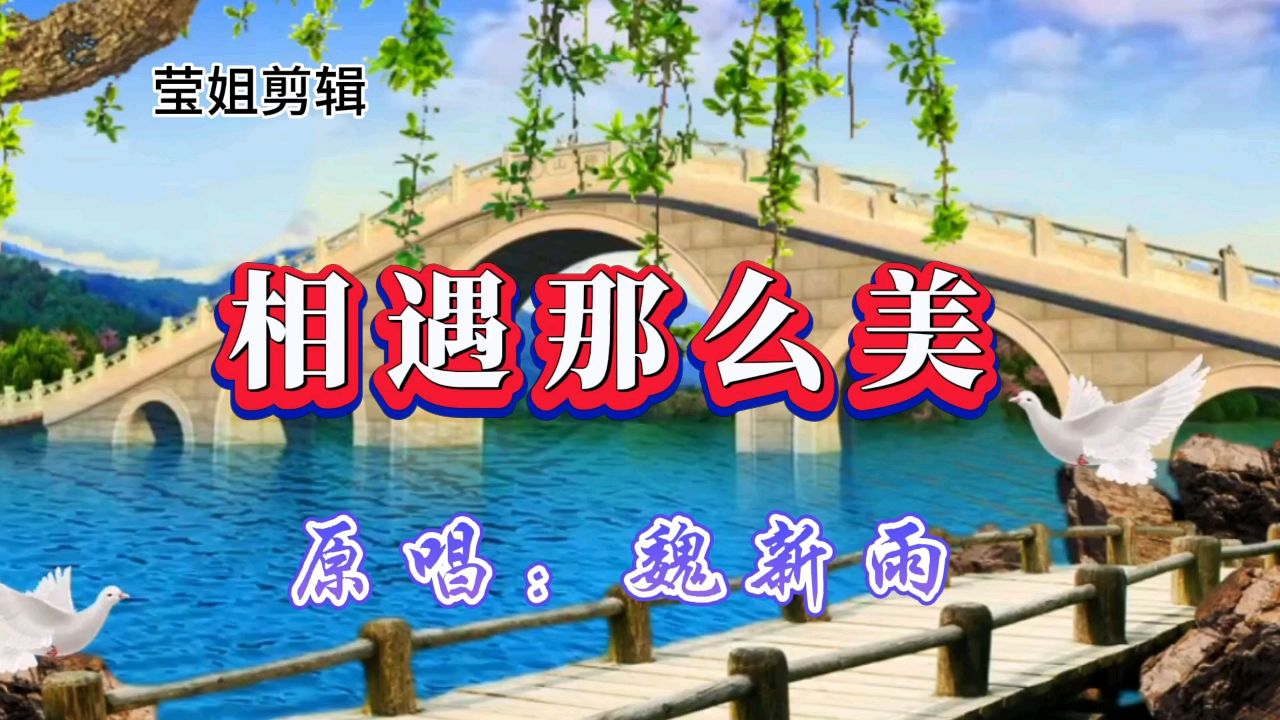 《相遇那么美》原唱魏新雨,旋律优美委婉,好听至极