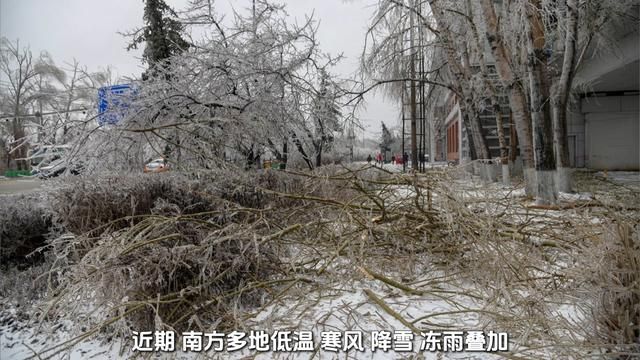 大雪天堵路不“堵心”,这些“暖心身影”让人感动 #东风雪铁龙 #东风标致 #神龙汽车 #湖北 #冻雨