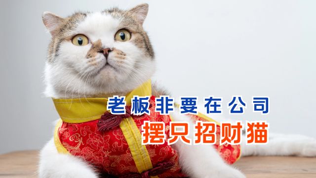 新年新气象,老板非要在公司摆只招财猫