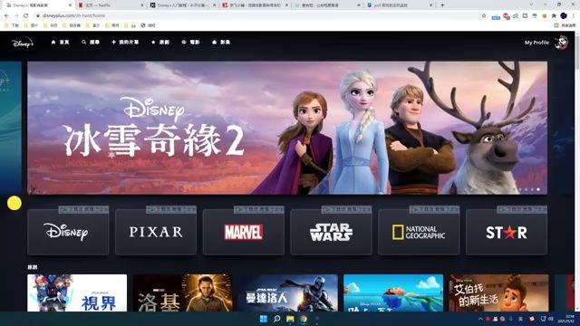 Disney 台湾区上线 全中文界面来了 从注册到节点分流